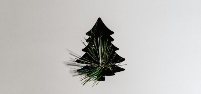 Julefrokost med Overnatning i Jylland: En Uforglemmelig Oplevelse